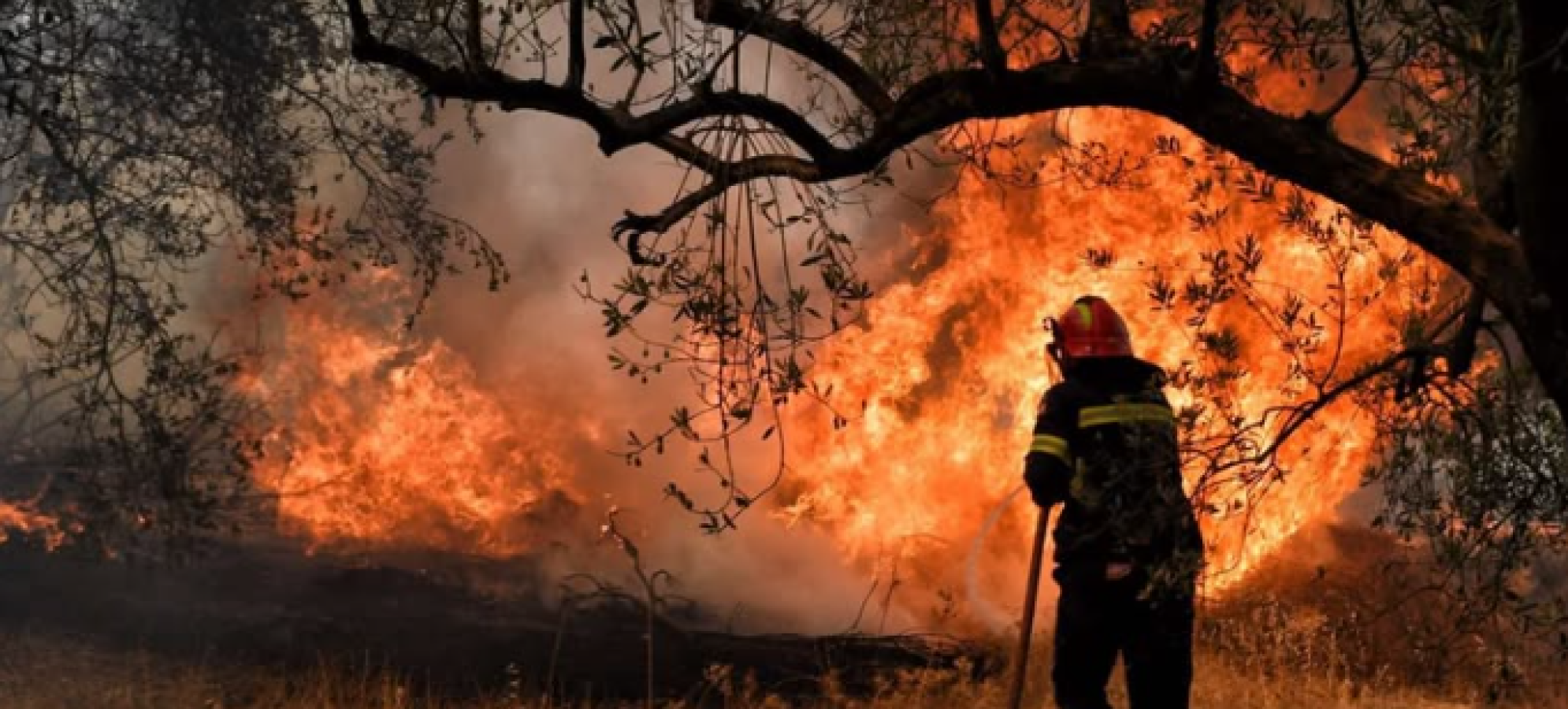 Συλλήψεις και διοικητικά πρόστιμα στην Κορινθία για πυρκαγιές και παράνομες θερμές εργασίες